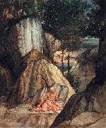 Lorenzo Lotto Penitent St Jerome oil on canvas